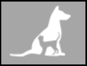 Amenity Icon for Dog and Pet Friendly Hotels in Blackpool